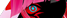 Dark Recluse