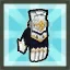 Champion's Gloves