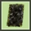 Seaweeds