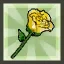 Yellow Flower