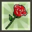 Red Flower
