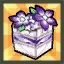 Ara's Spring Lolita Package (A)