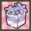 Eve's Spring Lolita Package