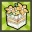 Rena's Spring Lolita Package