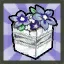 Add's Spring Lolita Package