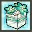 Chung's Spring Lolita Package