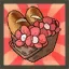 Elesis’s Little Red Riding Hood Premium Package (A)