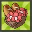 Rena’s Little Red Riding Hood Premium Package (A)