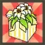 Elesis's Waltz of the Flower Costume Package