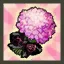 Eve's Wedding Package (Black)