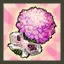 Eve's Wedding Package (White)