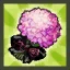Rena's Wedding Package (Black)