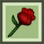 Dimension Flower