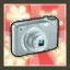 Digital Camera