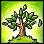 Sapling of Experiences