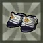 Champion's Shoes