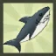 Shark Tube