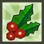 Red Holly Berries