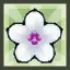 [Cobo] Gorgeous Spring Flower Pacifier