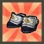 Champion's Shoes