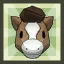 Pony Head Accessory