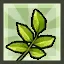 羊飼いの歌