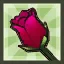 Red Rose