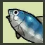 新鮮な魚