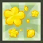 Dream Command - Yellow