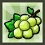 Unripened Fruit of Evolution (Adult)