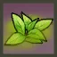 Mysterious Weeds