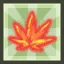 Harmony Festival Maple Seal
