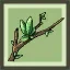 Wild Tree