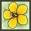 Yellow Flower Hair Accessory