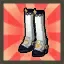 Champion's Shoes