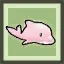 Pink Dolphin Boto