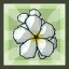 Floral Decoration of Purify (Permanent)