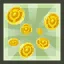 Dream Command - Gold ED