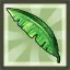 Palm Tree Leaf