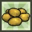 Potato