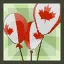 Canada Day Balloons