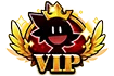 V · I · P